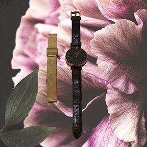 Daniel Wellington Black and Gold Women's Watch